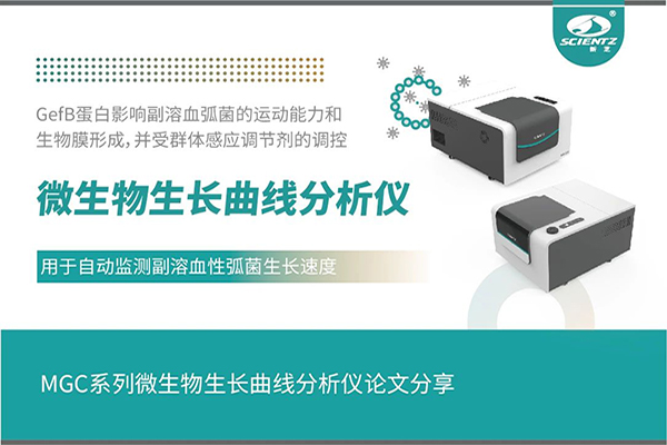 論文分享｜群體感應(yīng)調(diào)控GefB蛋白抑制副溶血性弧菌運動及生物膜形成機(jī)制解析