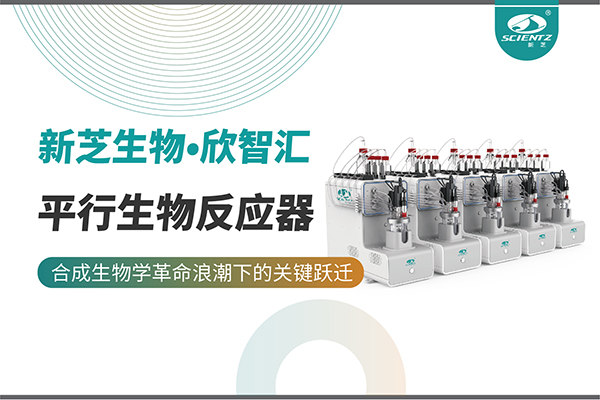 培養(yǎng)菌株和評估工藝參數影響太難太慢？平行生物反應器提供關鍵解決方案！