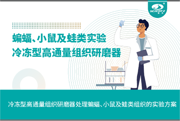 冷凍型高通量組織研磨器處理蝙蝠、小鼠及蛙類組織的實驗方案